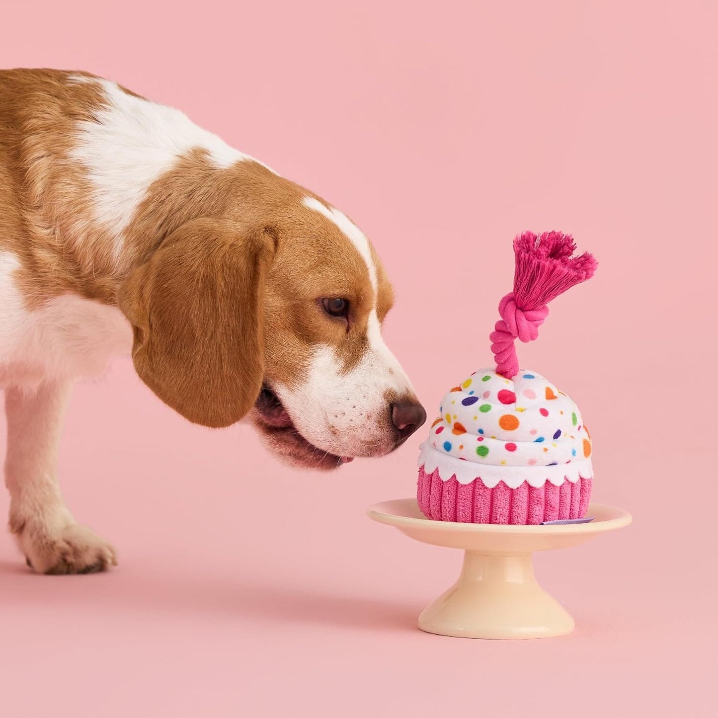 Lesure Dog Plush Toy